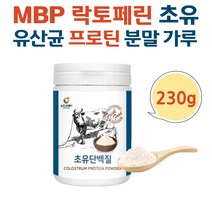 50대 락토페린 유산균 MBP 초유단백분말 면역글로블린 COLOSTRUM MILK POWDER 초유단백질 엠비피 소초유 어린이 성장기 청소년 키즈 성인 파우더 가루 분말 저스트초유
