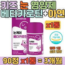 키즈 성장기 눈 건강 베타카로틴 아연 비타민 영양제 유아 아동 면역력 블루베리맛 츄어블 항산화 효능 핸드폰 영상 시청 독서 많이 하는 우리 아이 눈을 위한 건강 보조제 추천