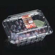 태방파텍 포장용기 TB-101-1k [포도 1kg] / 과일트레이 과일포장용기 농산물포장 식품포장재