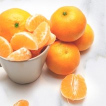 제주직송 제주 명품 노지감귤 중대과 10kg, 1개