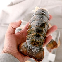 랍스타테일 4oz 3미 (330~360g) 캐나다산, 단품없음