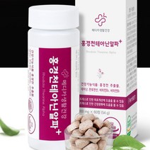 l테아닌 홍경천추출물 판토텐산 비타민B 스트레스 디스트레스 불안 초조 장애 긴장완화 피로개선 신경안정제 태아닌 불면증 수면장애 해소 숙면 알파파 릴렉스 영양제, 5병(5개월)