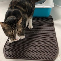 모래쏙쏙 실리콘 고양이발판 사막화방지매트 고냥이 반려묘