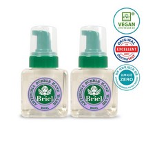 브리엘 개똥쑥 버블 핸드워시 250ml 1+1