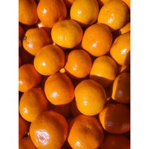 (과일누리) 고당도 서귀포감귤 소과 중과 5kg, 대과 5kg