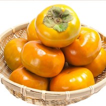 원예농협 고당도 햇 단감 부유 단감 특품 3kg(1박스)/16-19알