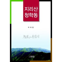 지리산 청학동, 박이정, 곽재용 저