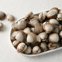서해안 고창 자연산 해감 동죽조개 물총조개 3kg, 1개