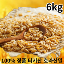 무첨가 100% 정품 이집트 고대곡물 셀레늄 풍부한 호라산밀, 6kg