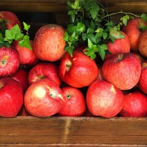 경북 산지직송 당도선별 가정용 정품 꿀사과 부사사과 2kg 3kg 5kg 10kg, (정품) 3kg / 중소과 / 11-14과