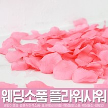 스투피드 셀프웨딩 프로포즈 모음, 036_이벤트 꽃잎  핑크