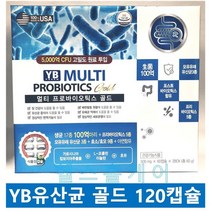 와이비 멀티 프로바이오틱스 골드 120캡슐 사은품 증정