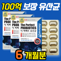 고등학생 시니어 부모님 50대 제품 우유없는 백억 유산균 제제 프로 바이오틱스 캡슐 프로바이오 우먼 온가족 캐나다 가성비 남성 락토프리 중학생 성인 500억 유신균 좋은 60대