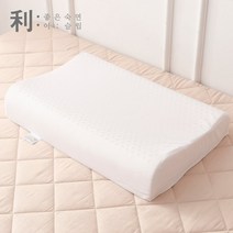 기타 이슬립 아리아 천연 라텍스 베개 굴곡형 대형+속커버