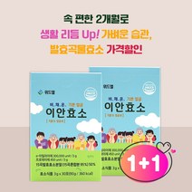 속편한 발효곡물 소화효소 이안효소 (3g * 30포) x 2Box (2개월)