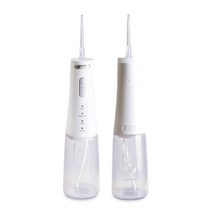 다덴픽 FC5090 휴대용 구강세정기 310ml+휴대용백, 다덴픽 구강세정기 FC5090 화이트