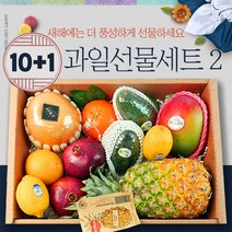 프리미엄 명절 혼합 과일선물세트 2호 설날 추석 선물 세트 과일 바구니