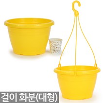 칼라 화분 + 걸이 대형 - 인테리어 걸이화분 행잉화분 행긴화분 플라스틱화분 다육이 식물 공중걸이 공중화분 벽걸이 걸이분 행긴분 플분 플라스틱, 06_세인_칼라걸이분-대(옐로우)