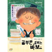 공부만 잘하는 바보:서석영 동화 시리즈, 바우솔