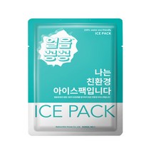 영진종합유통 아이스팩 12x18cm 100개 완제품 친환경, 12x18cm  100개