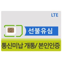 sk kt lg 선불유심 무제한 정액 데이터 선불폰 본인인증 유심칩 개통, 1개