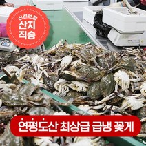 연평도 100% 활꽃게를 급냉한 냉동꽃게, 암꽃게 1kg