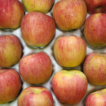 당도 높은 홍로 꿀사과 5kg, 5kg 소과 (25~29과)