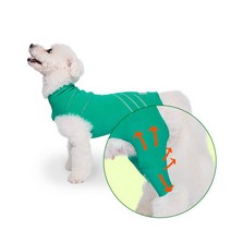 브이랩 파텔라 강아지 슬개골 보호대 반려견 관절 탈구 예방 수트 기능성 옷, 01. 그린