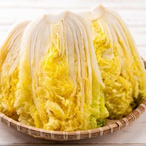 국산 절임배추 김장 양념 속 세트 3kg 5kg 10kg 20kg 배추 김치 김치속 김칫속 양념장 고랭지 절인배추, <a.3> 절임배추 10kg” class=”wr-img”></a></div></div></div></div><div class=