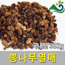 뽕나무열매 건조오디(300g)-국내산