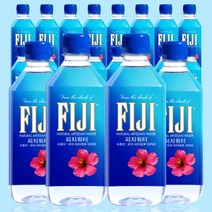 피지워터 500ml 24개 미네랄워터 수입 생수