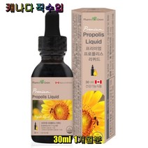 팜그린 프리미엄 프로폴리스 리퀴드 캐나다 직수입 플라보노이드 액상형