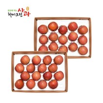 [쇼핑엔티] [청송_당도선별/大사이즈] 하이크린 청송 실속 사과 4kg(11~16과 1과당 250g 이상) X 2box [총 8kg], 없음