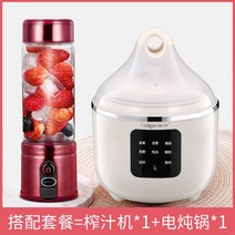 해외 휴대용 녹즙기 가정용 과일소형 다기능 전자동 튀김기 미니-35935, 단일옵션, 옵션08