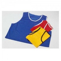 축구 팀조끼 운동회 색깔 응원 학교 체육