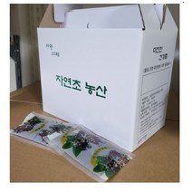 익모초즙 진액60팩(115ml)/국내산/육모초즙진액 인진쑥즙, (2형)헛개열매즙60팩