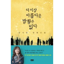 더 이상 아름다운 방황은 없다:공지영 장편소설, 해냄출판사, 공지영 저