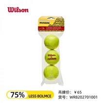윌슨테니스공 테니스공 듀티 테니스볼 윌슨 트레이너 공인구 챔피언쉽 공 WILSON 테니스, 06