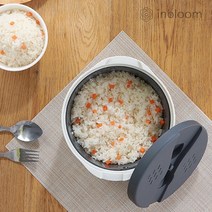 인블룸 전자레인지용 밥솥 2L, 없음, 단일