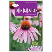 에키네시아씨앗 100립 허브씨앗 (C0225)