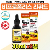 항산화 비프로폴리스 영양제 리퀴드 성장기 수험생 BEE PROPOLIS 플라보노이드 장모님 부모님 효도 선물 비 프로폴리스 추출물 구강 향균 온 가족 청소년 주부 여자 남자 30대, 프로폴리스리퀴드 x2통
