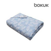 보국전자 스카이리프 에어셀 전기요 더블 BKB-0606D, 단품없음