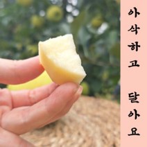 예산명품사과 시나노골드1호 2호 홍로 1호 2호 특대과 제수용 선물용 5킬로그램, 1박스, 홍로5kg 명품1호
