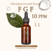 에코문 FGF10ppm 1L /나노 이지에프 앰플 원액 에센스 리포좀 펩타이드 원료, 1개