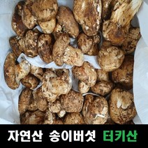 송이버섯 자연산 냉동 터키산, 3S급(60~80송이내외, 모양크기랜덤), 3S급 1kg, 1개