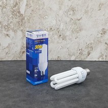 장수 30W 삼파장 전구 (주광색) EFQU30EX-D전구 램프 형광등 조명 인테리어, iRAYi상품선택iRAYi, 본상품