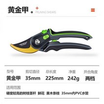충전전지가위 전동가위 원예용 일본 전정 가위 정원 과일 나무 가지 컷 원예 지점 꽃 예술 치기 수입 독일 도구, 황금 갑옷