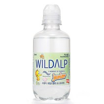 [카페앤쿨] 와일드알프 쥬니어 워터 250ml 12병, 단품
