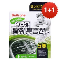 1+1 불스원 살라딘 에어컨 히터 탈취 훈증캔-숲속향, 2개