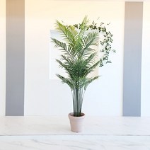 더알로하 조화 인조나무 야자수나무 아레카야자 극락조 몬스테라 고무나무 올리브나무 바나나나무 드라세나 라탄화분 이태리화분, 아레카야자190
